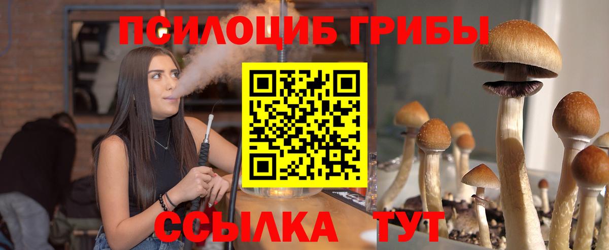 Псилоцибиновые грибы Cubensis Белгород